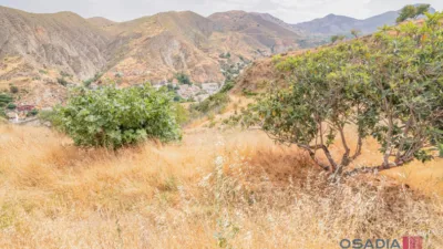 Rustic finca in Vega de Granada, South Zone photo 39