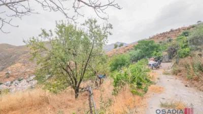 Rustic finca in Vega de Granada, South Zone photo 46