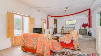 Rustic finca in Vega de Granada, South Zone photo 8