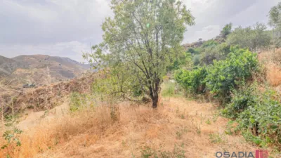 Rustic finca in Vega de Granada, South Zone photo 34