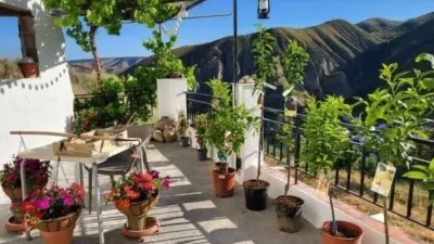 Rustic finca in Vega de Granada, South Zone photo 2