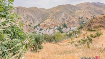 Rustic finca in Vega de Granada, South Zone photo 42