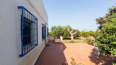 Rustic Finca in Alcanar photo 55