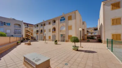 Apartment in Acequion photo 22
