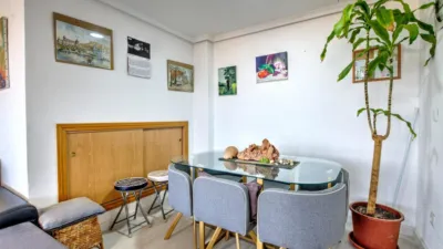 Duplex on Dr Jose Luis de La Vega Street photo 10