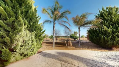 Chalet in the Valencian Community photo 42