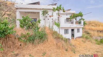 Rustic finca in Vega de Granada, South Zone photo 4