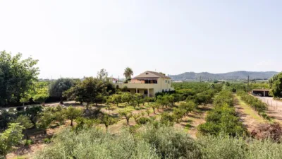 Rustic Finca in Alcanar photo 53