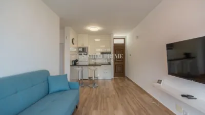 Apartment on Avenida de Rafael Puig Lluvina photo 9