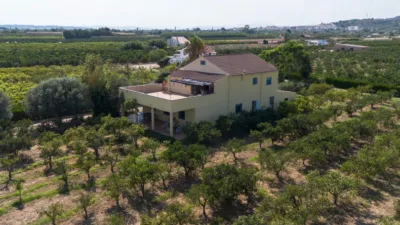 Rustic Finca in Alcanar photo 3