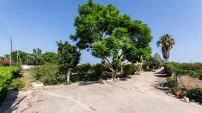 Rustic Finca in Alcanar photo 6