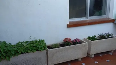 Apartment in Santa Rosa photo 2
