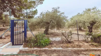 House in Catalonia photo 16