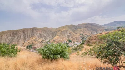 Rustic finca in Vega de Granada, South Zone photo 38