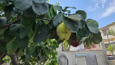 House in Catalonia photo 6