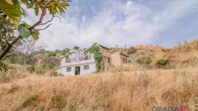 Rustic finca in Vega de Granada, South Zone photo 43