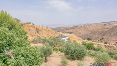 Rustic finca in Vega de Granada, South Zone photo 47