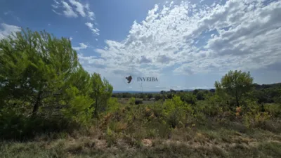 House in Catalonia photo 39
