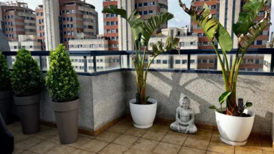 Duplex Penthouse in Camí Reial photo 6