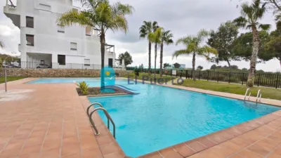 Apartment in Condado de Alhama photo 2