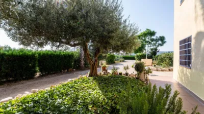 Rustic Finca in Alcanar photo 33