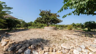 Rustic Finca in Alcanar photo 49