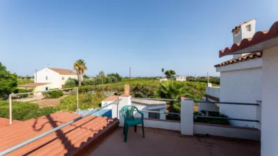 Rustic Finca in Alcanar photo 44