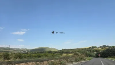 House in Catalonia photo 36