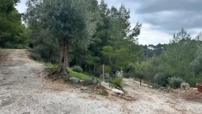 Rustic finca on Carretera de Alozaina, 1 photo 12