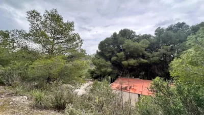 Rustic finca on Carretera de Alozaina, 1 photo 6