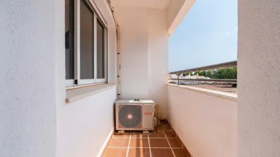 Apartment in Las Marinas photo 5
