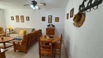 Apartment in University Area photo 6