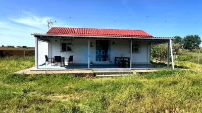 Chalet in La Palma del Condado photo 2