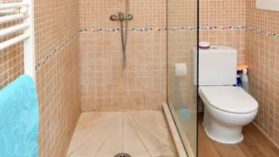 Apartment in La Guadia photo 37