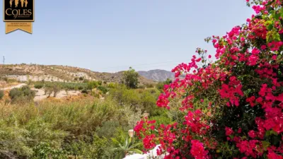 Rustic Finca on Calle Fuenblanquilla photo 7