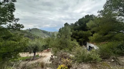Rustic finca on Carretera de Alozaina, 1 photo 5