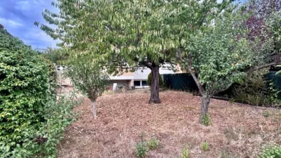 Semi-detached house on Blas López Street photo 8