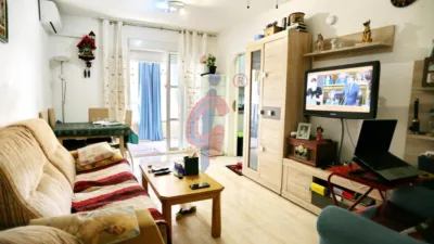 Apartment at Carrer de Dolores Viudes Blasco, 7 photo 13