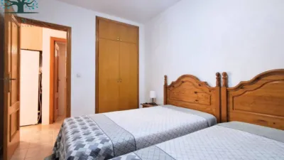 Apartment in El Alamillo photo 12