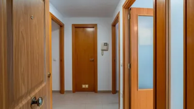 Apartment in Las Marinas photo 2