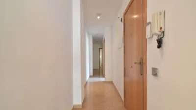 Apartment in Barri de Mar photo 13