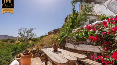 Rustic Finca on Calle Fuenblanquilla photo 8
