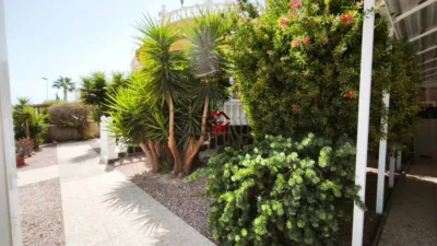 Chalet on Calle Piteras photo 6