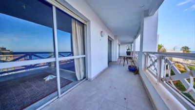 Apartment on Calle del Nogal photo 3
