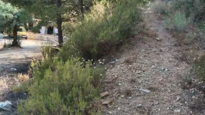 Rustic finca on Carretera de Alozaina, 1 photo 19