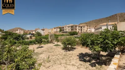 Chalet on Calvario Street photo 5