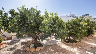 Chalet in Lomas de Cabo Roig photo 8