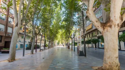 Apartment on Avenida de Alfonso X 'El Sabio' photo 48