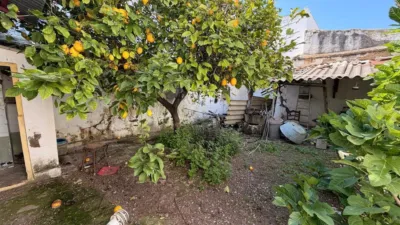 House in a Central Location photo 8