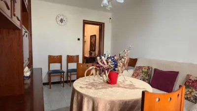 Apartment in Plana Lladó photo 20